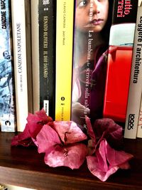 Close-up of pink flower on book