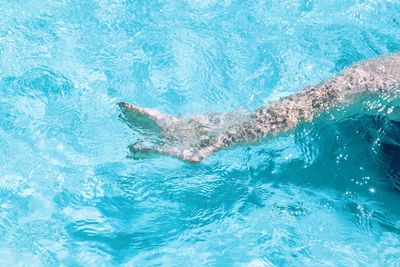 Low section of person swimming in pool