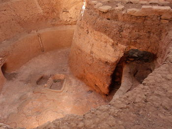 Close-up of lizard on rock