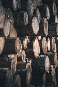 Stack of logs in forest