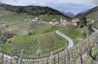 Scenic view of agricultural landscape against sky