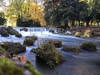 Scenic view of river in forest during autumn
