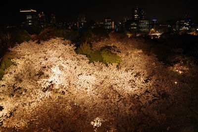 High angle view of illuminated buildings in city at night