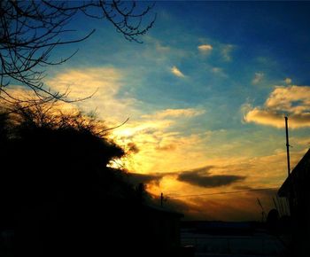Silhouette of trees against cloudy sky