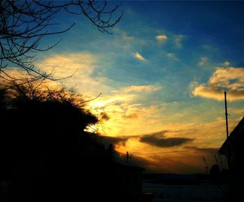 Silhouette of trees against cloudy sky