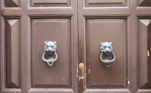 White cat on door