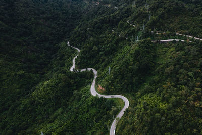 High angle view of road amidst trees in forest