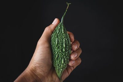 Close-up of hand holding leaf over black background