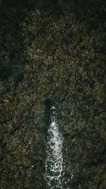 Aerial view of boat moving on sea