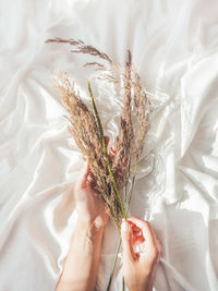 Top view on woman hands with dried grass. decorative plants on crumpled white fabric. cozy home.