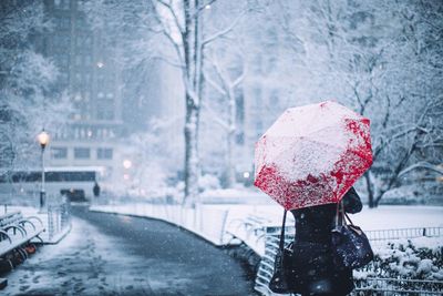 Rear view of woman with umbrella in snow