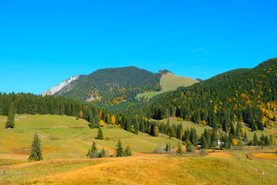 Scenic view of landscape against clear blue sky