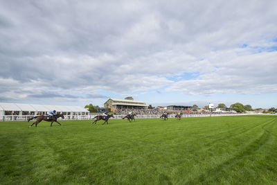 Horse racing on grassy field against cloudy sky
