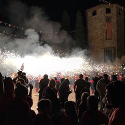 People enjoying music concert at night