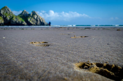 Scenic view of beach against sky