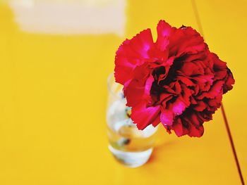 Close-up of flower in vase