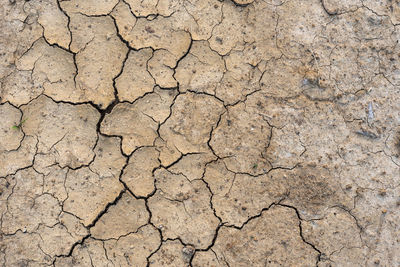Full frame shot of cracked land
