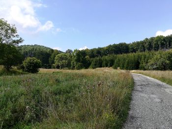 Scenic view of field against sky