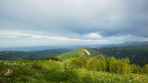 Scenic view of landscape against sky