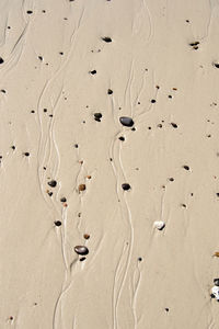 Close-up of footprints on sand at beach