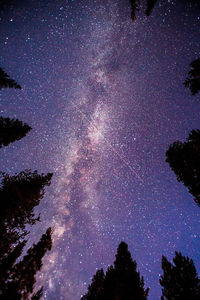 Low angle view of star field against star field