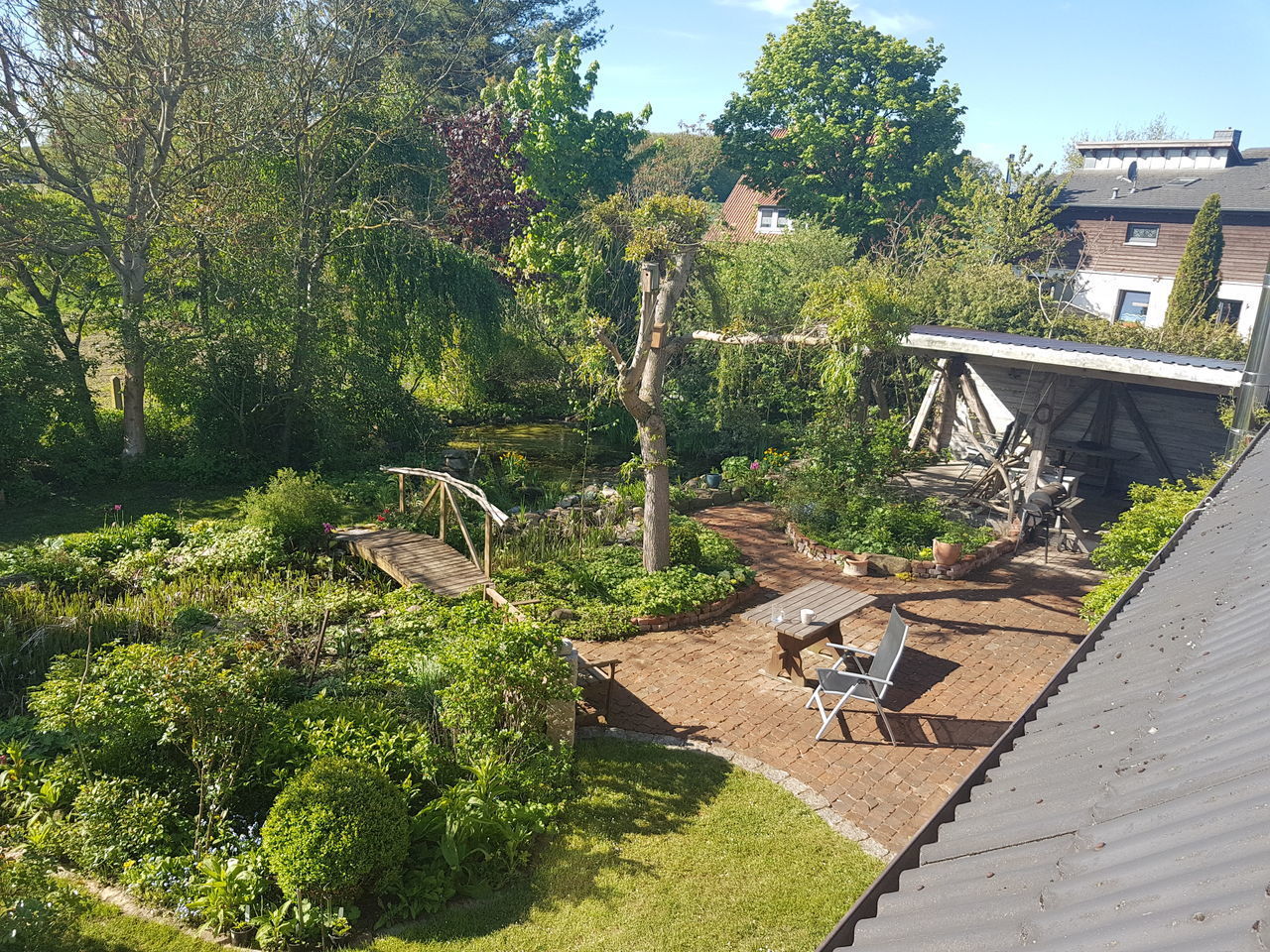 VIEW OF BIRDS BY PLANTS