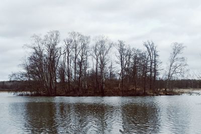 Bare trees by lake against sky