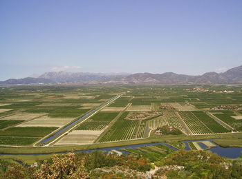 Scenic view of agricultural field against clear sky