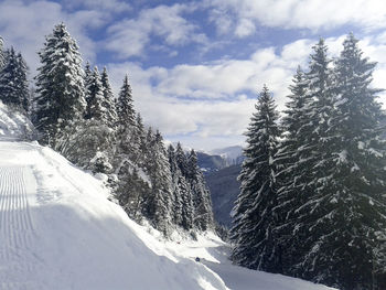 Trees on snow covered landscape against sky