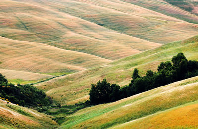 High angle view of green landscape