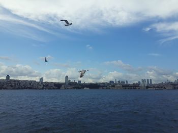 Seagulls flying over sea against sky