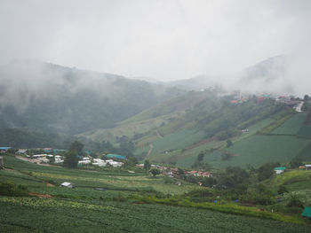 Scenic view of field by buildings against sky