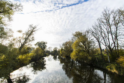 River amidst trees in forest against sky