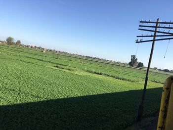 Scenic view of agricultural field against clear sky