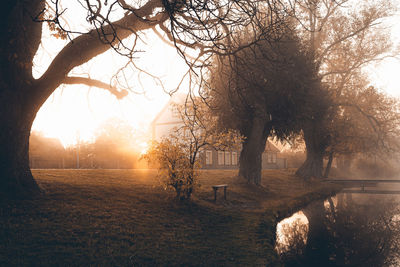 Trees by lake against sky during sunset