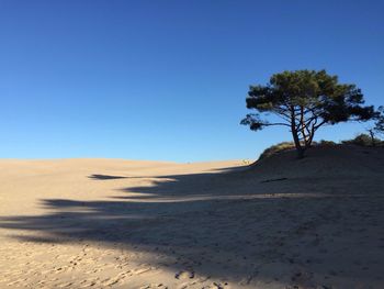 Scenic view of desert against clear blue sky