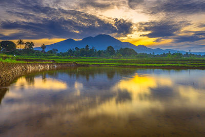 reflection