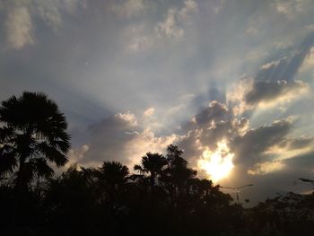 Low angle view of silhouette trees against sky