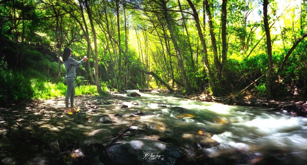 SCENIC VIEW OF RIVER FLOWING THROUGH FOREST