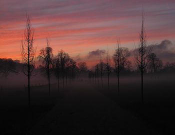 Silhouette trees on landscape against sky during sunset