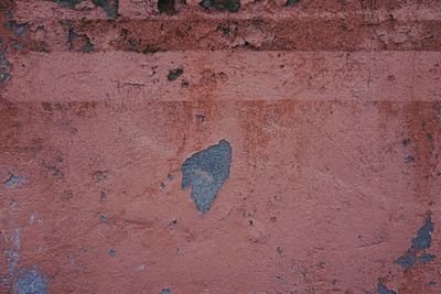 Close-up of peeled wall