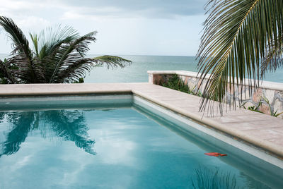 Palm tree by swimming pool against sky