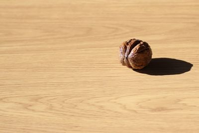 High angle view of shell on wooden table
