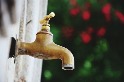 Close-up of faucet against wall