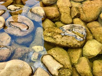 High angle view of stones in shallow water