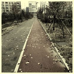 the way forward