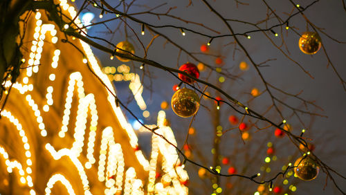 Low angle view of bird on branch
