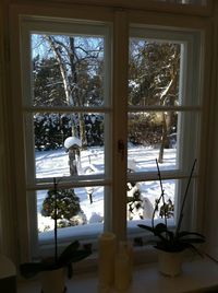 Close-up of window