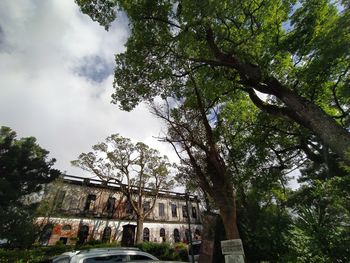 Low angle view of trees and building against sky