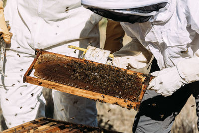 Beekeepers working outdoors